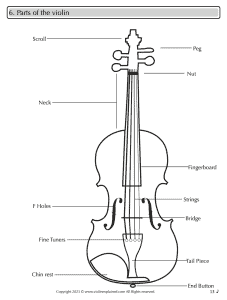 Diagram of Violin and all the parts labeled