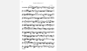 Image of Bach Double Violin Concerto showing visual crowding at it's finest